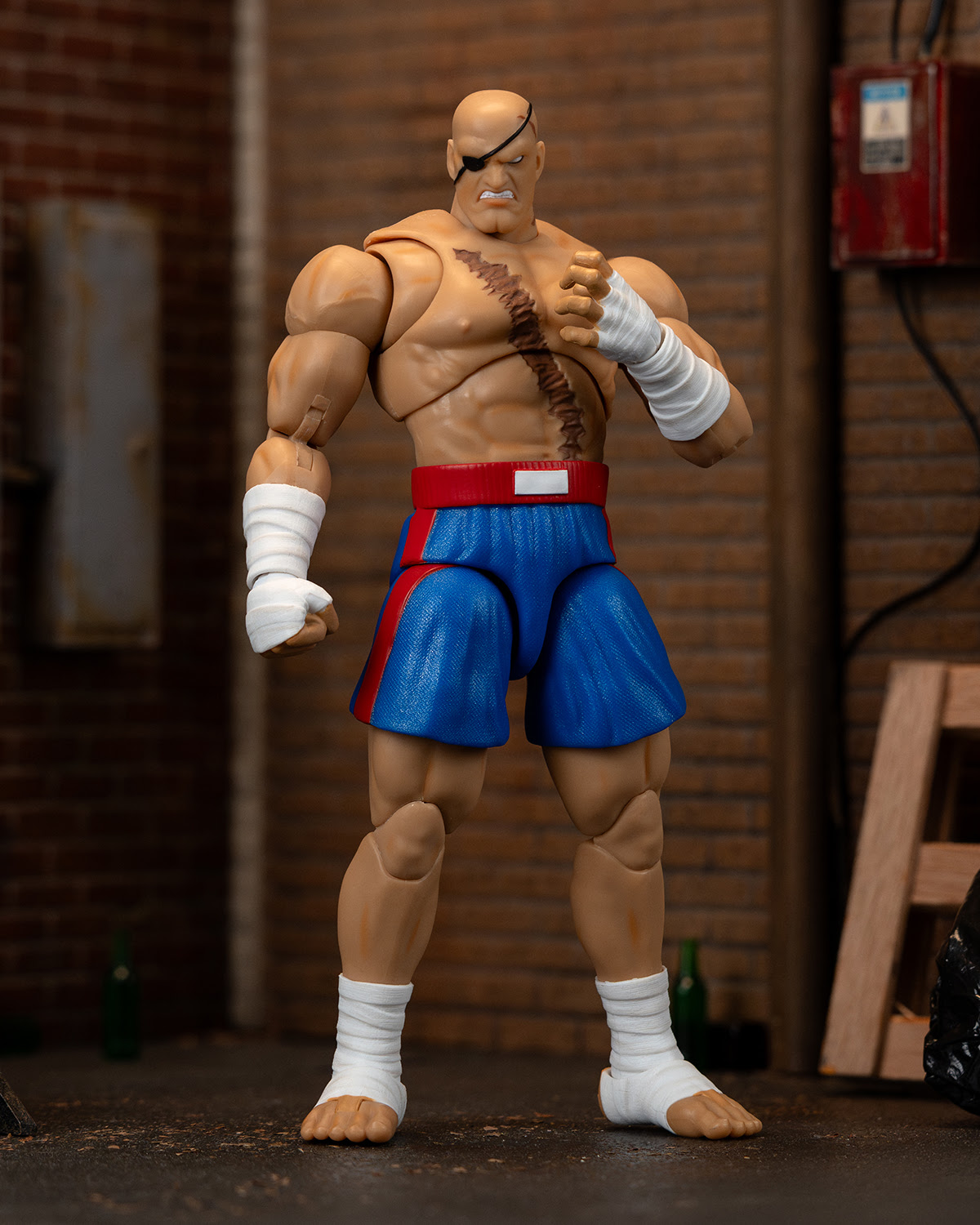 Ultra Street Fighter II Sagat - Image 13