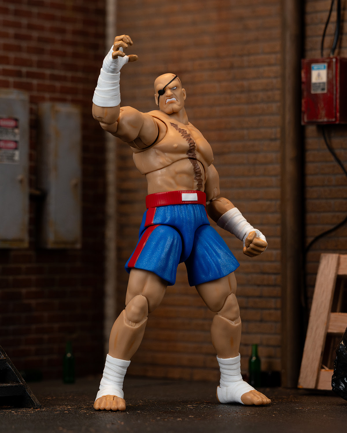 Ultra Street Fighter II Sagat - Image 12