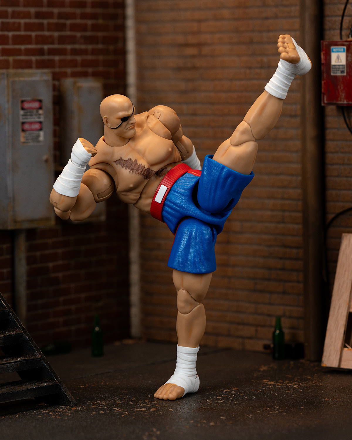 Ultra Street Fighter II Sagat - Image 11