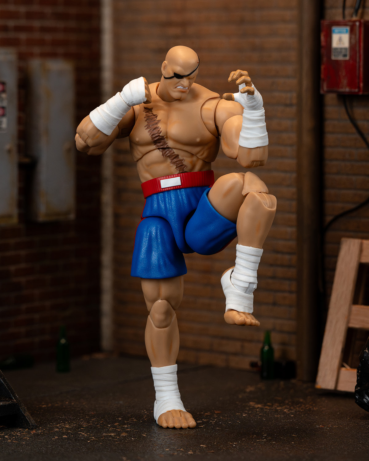 Ultra Street Fighter II Sagat - Image 10