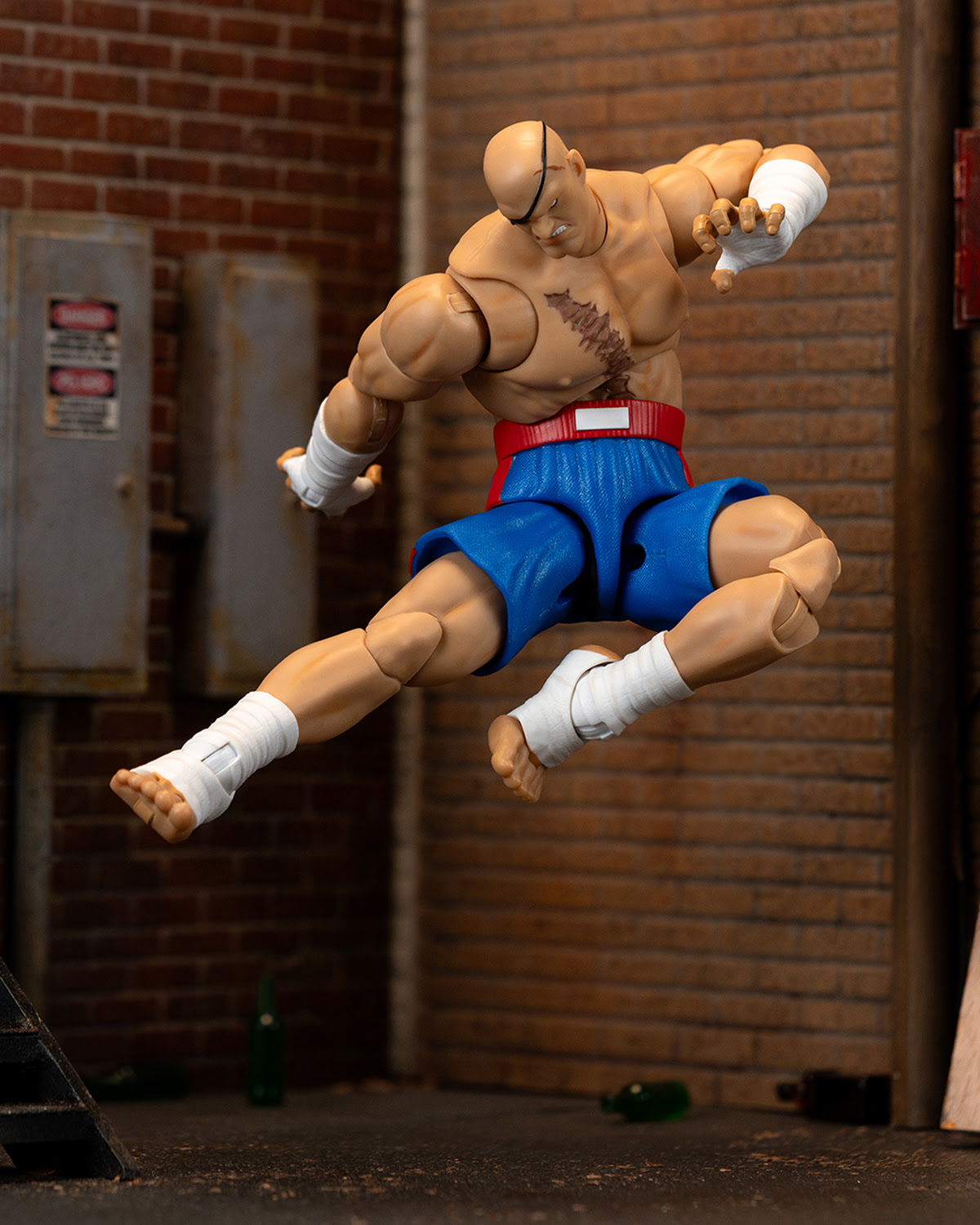 Ultra Street Fighter II Sagat - Image 9