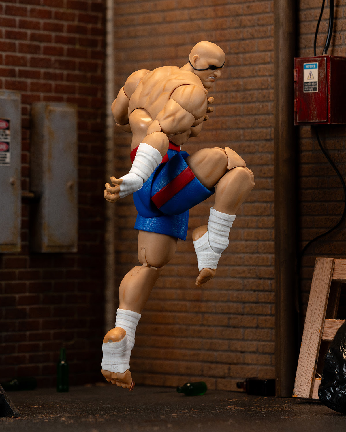 Ultra Street Fighter II Sagat - Image 8