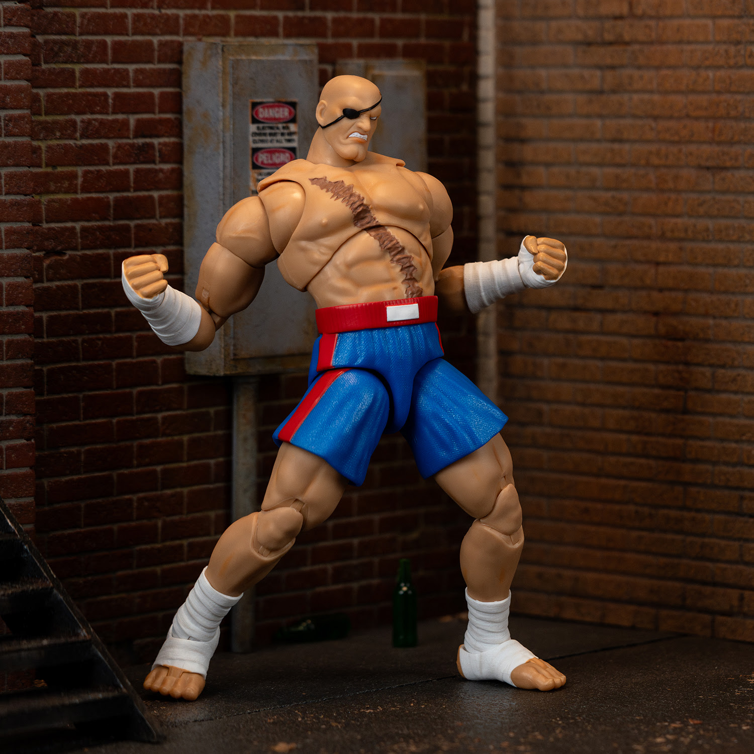 Ultra Street Fighter II Sagat - Image 7