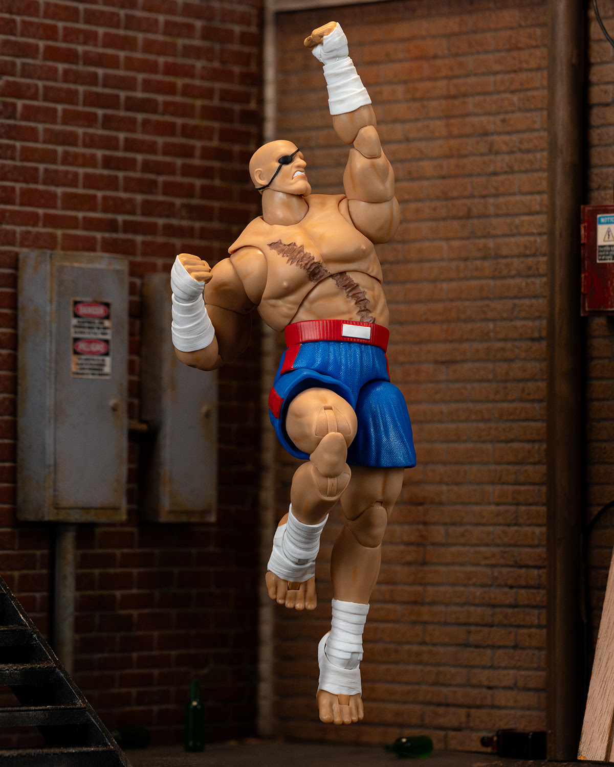 Ultra Street Fighter II Sagat - Image 4