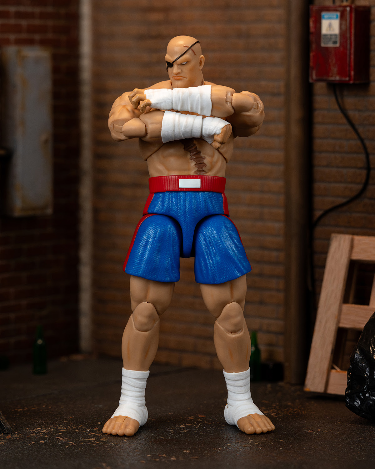 Ultra Street Fighter II Sagat - Image 3