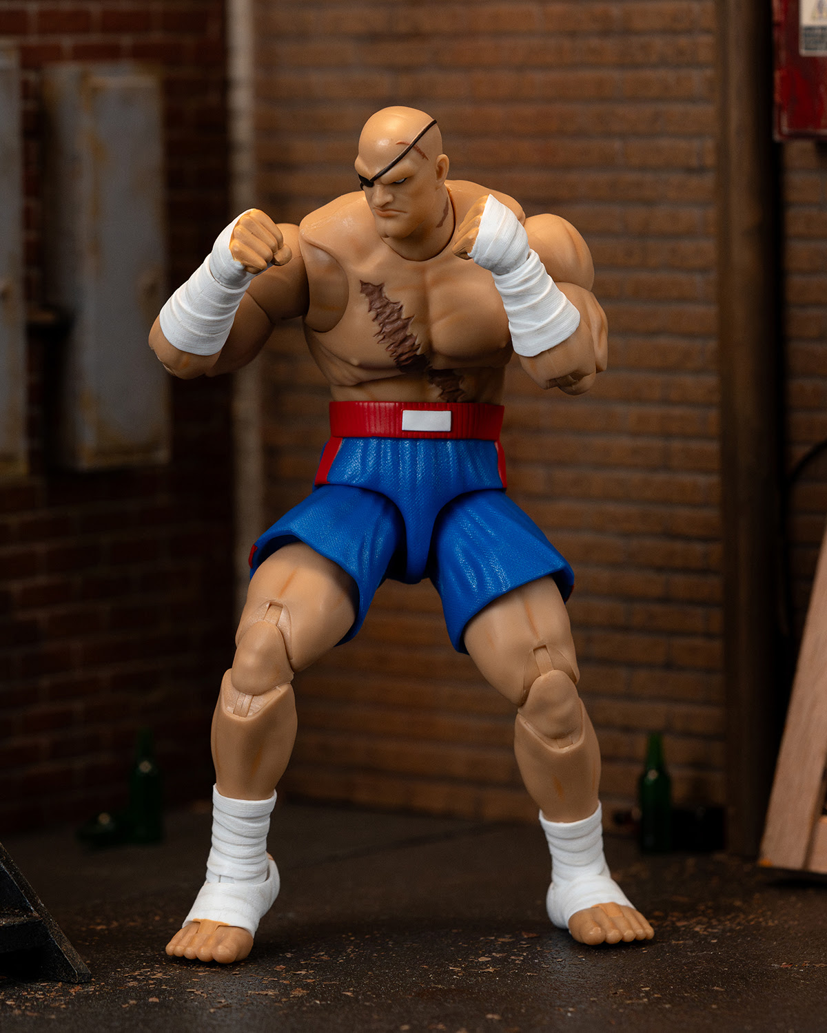 Ultra Street Fighter II Sagat - Image 2