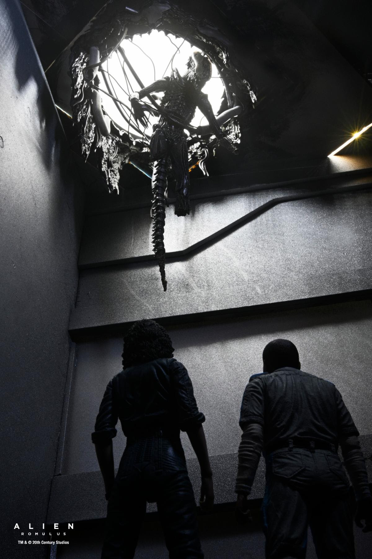 ALIEN: ROMULUS - 7 IN SCALE ACTION FIGURE - DELUXE SUSPENDED LAB XENOMORPH XX121 - Image 4
