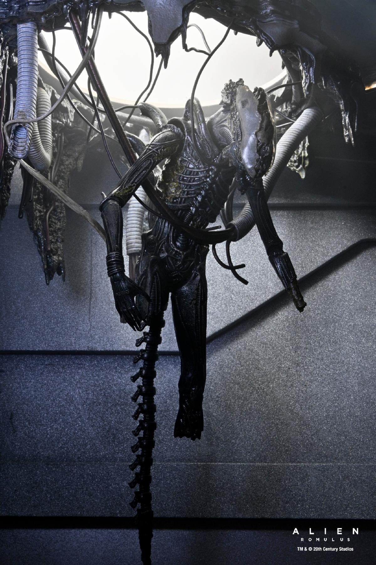 ALIEN: ROMULUS - 7 IN SCALE ACTION FIGURE - DELUXE SUSPENDED LAB XENOMORPH XX121 - Image 3