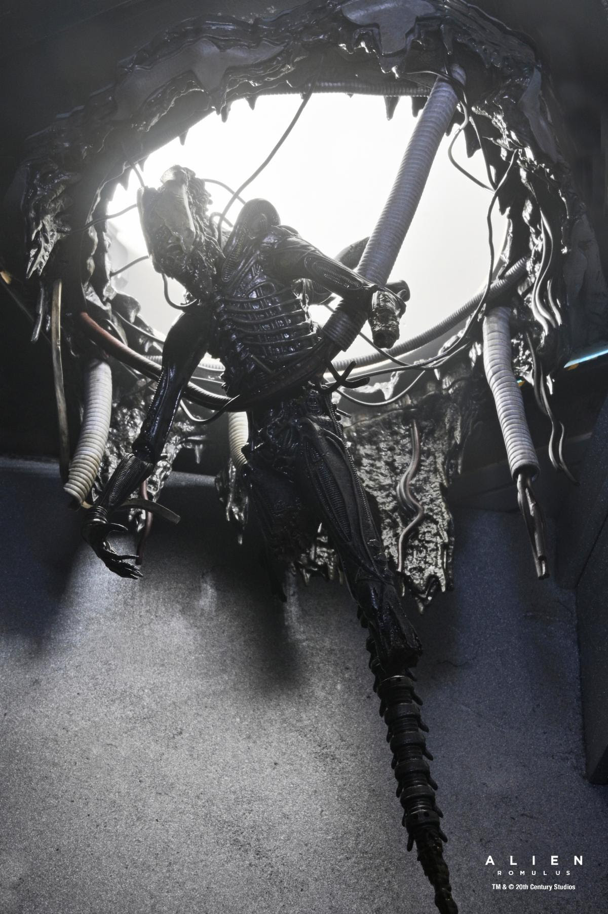 ALIEN: ROMULUS - 7 IN SCALE ACTION FIGURE - DELUXE SUSPENDED LAB XENOMORPH XX121 - Image 11