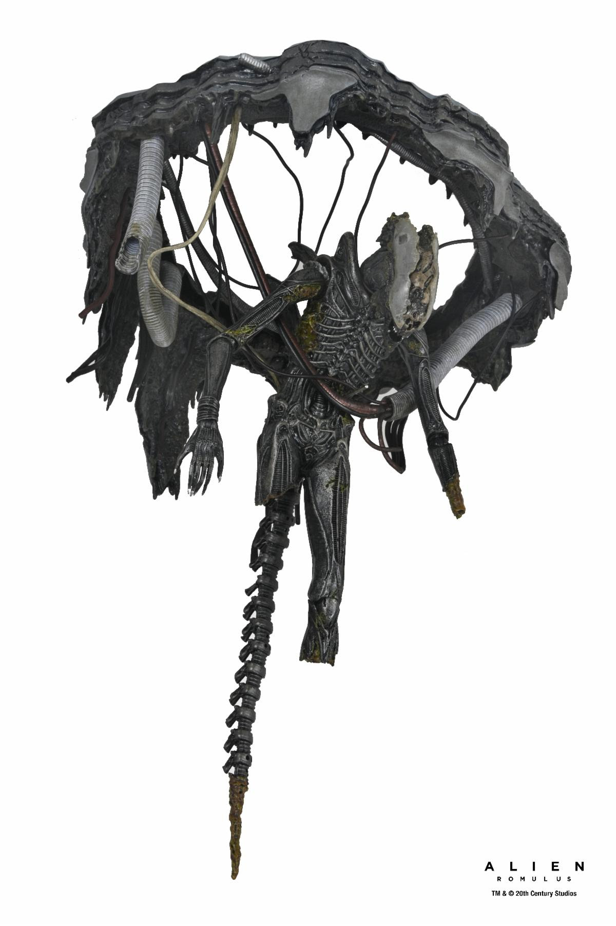 ALIEN: ROMULUS - 7 IN SCALE ACTION FIGURE - DELUXE SUSPENDED LAB XENOMORPH XX121 - Image 8