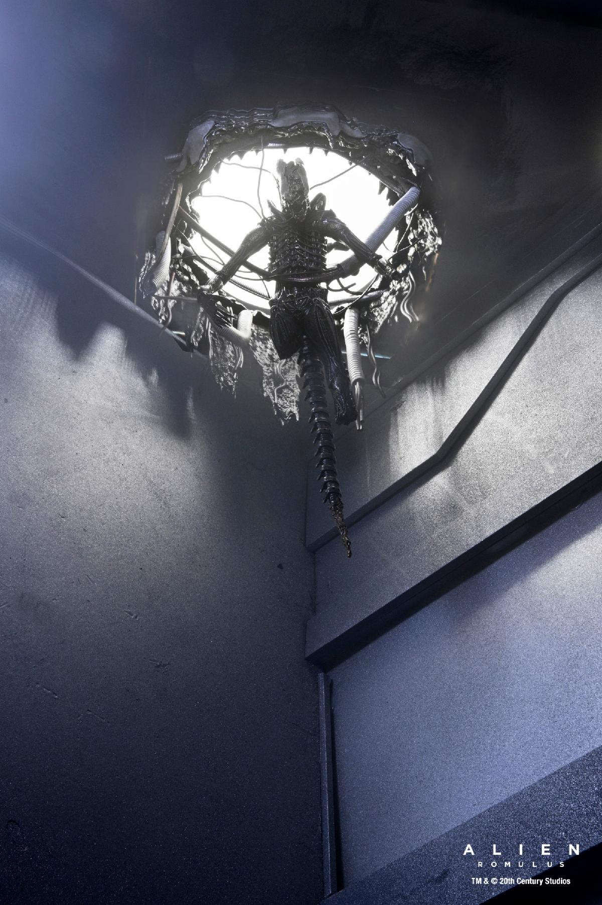 ALIEN: ROMULUS - 7 IN SCALE ACTION FIGURE - DELUXE SUSPENDED LAB XENOMORPH XX121 - Image 5